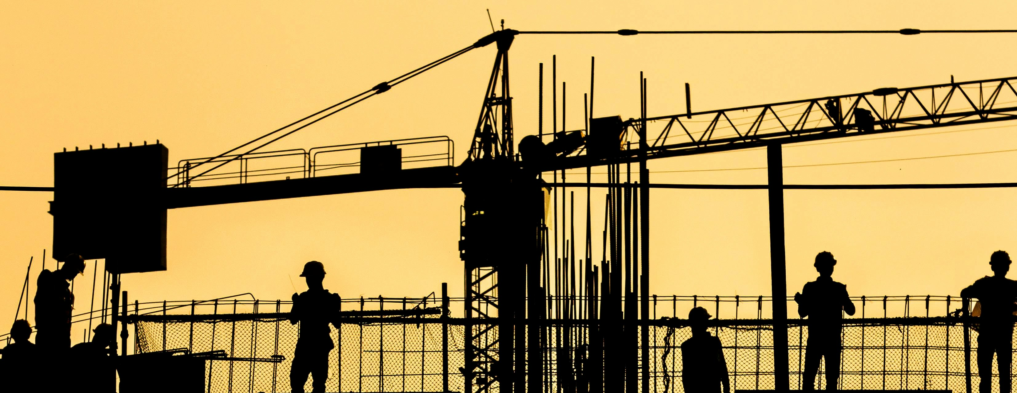 Tower cranes silhouetted at sunset