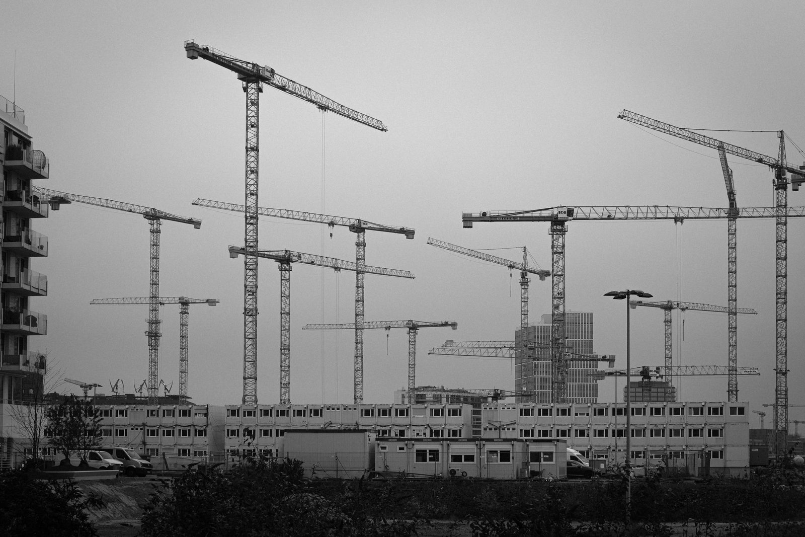 A skyline of tower cranes